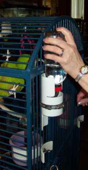 Inserting Water Bottle 2